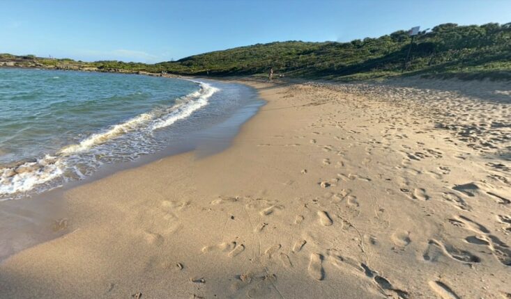 Jovem Dorme Em Praia Ap S Usar Drogas A Namorada E Acorda A