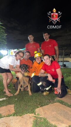 Bombeiros resgatam cadela pastor-alemão presa em buraco no Distrito Federal