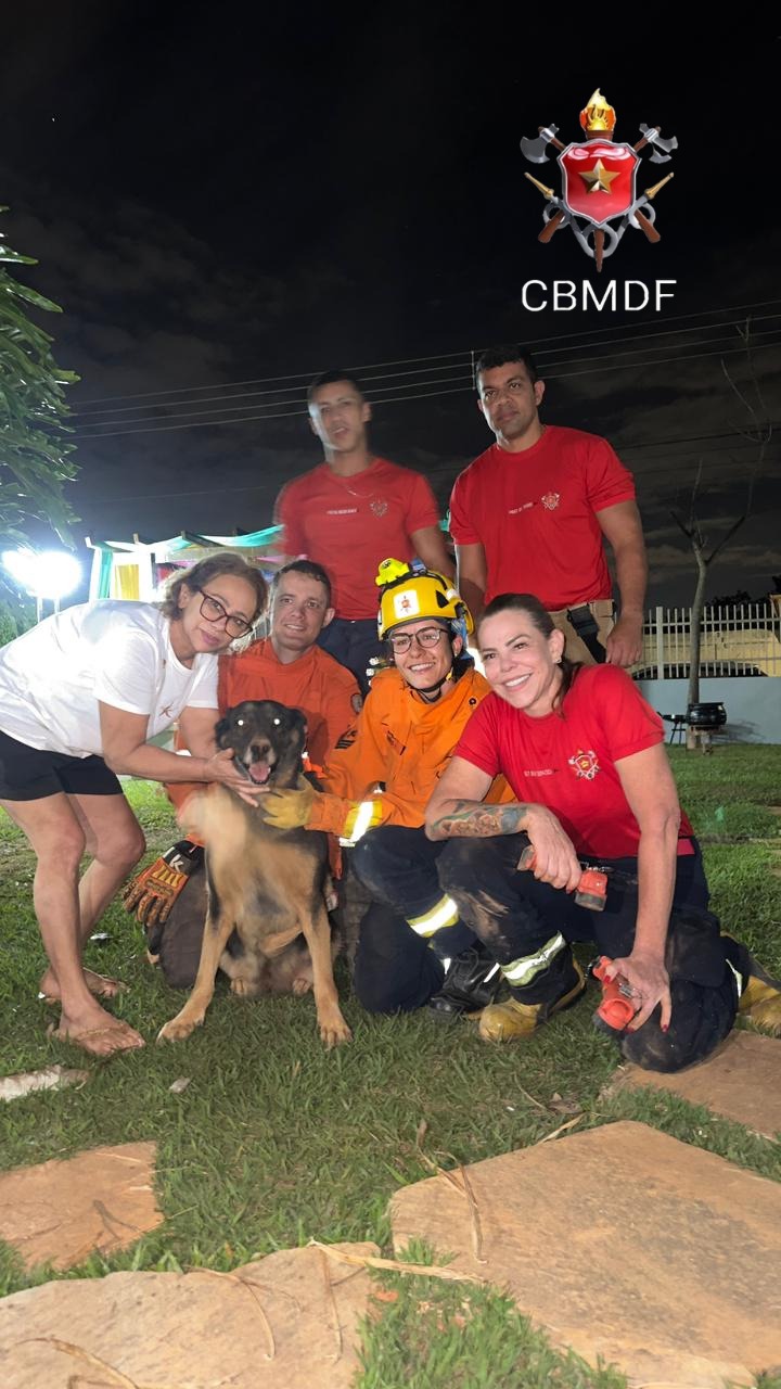 Bombeiros resgatam cadela pastor-alemão presa em buraco no Distrito Federal